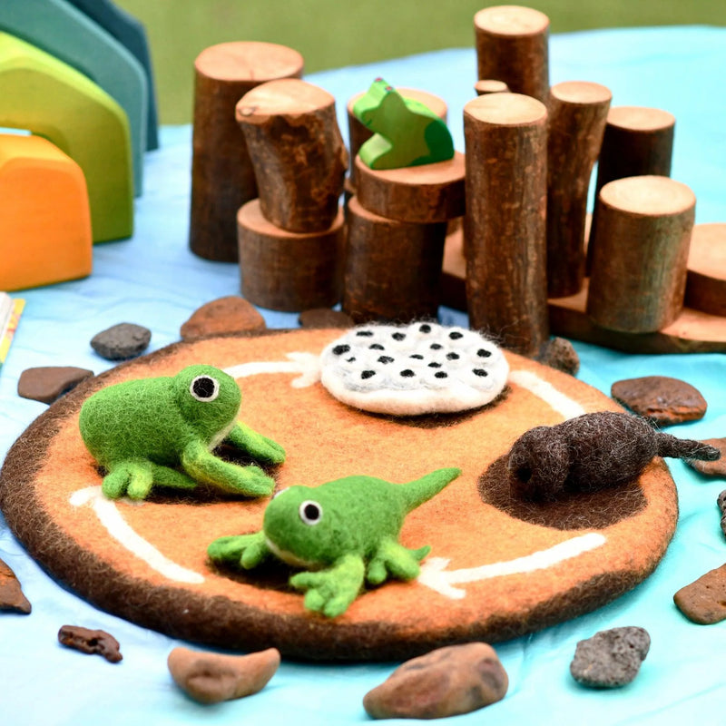 Tara Treasures Felt Life Cycle of a Frog 4pcs Felt Figures Only Pretend & Imaginative Play Toys Felt Animals Early Science 3yrs+
