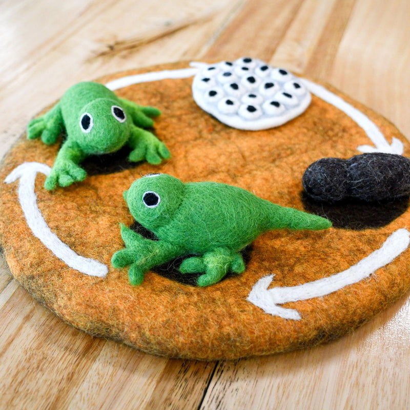 Tara Treasures Felt Life Cycle of a Frog 4pcs Felt Figures Only Pretend & Imaginative Play Toys Felt Animals Early Science 3yrs+