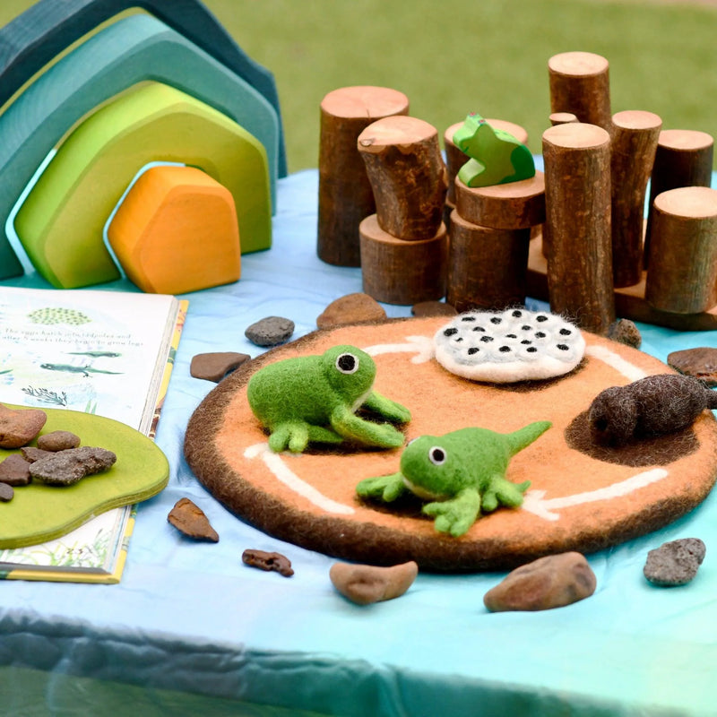 Tara Treasures Felt Life Cycle of a Frog 4pcs Felt Figures Only Pretend & Imaginative Play Toys Felt Animals Early Science 3yrs+