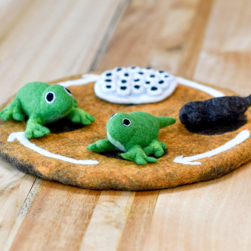 Tara Treasures Felt Life Cycle of a Frog 4pcs Felt Figures Only Pretend & Imaginative Play Toys Felt Animals Early Science 3yrs+