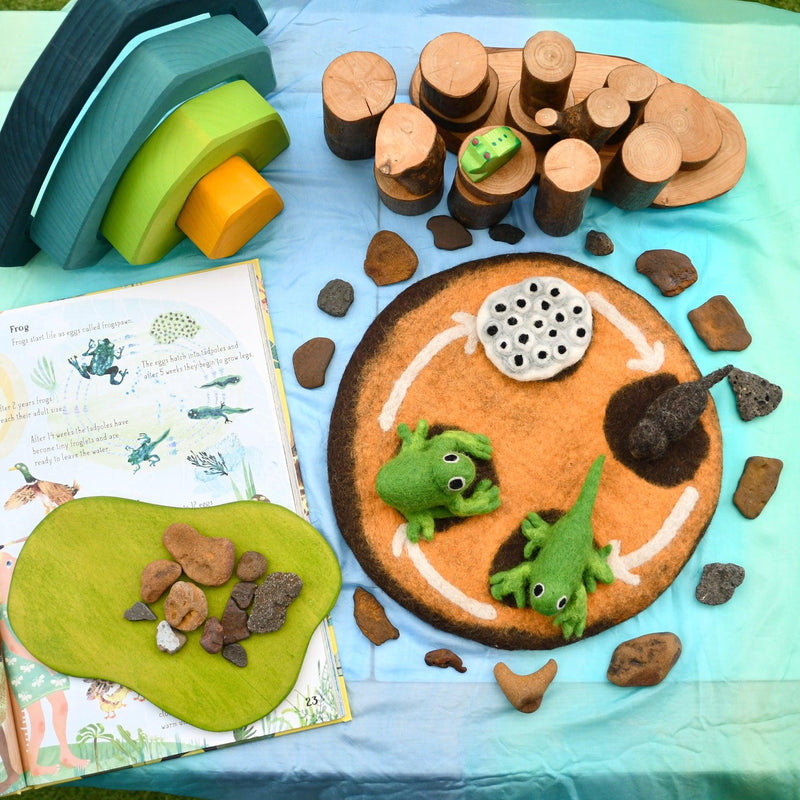 Tara Treasures Felt Life Cycle of a Frog 4pcs Felt Figures Only Pretend & Imaginative Play Toys Felt Animals Early Science 3yrs+