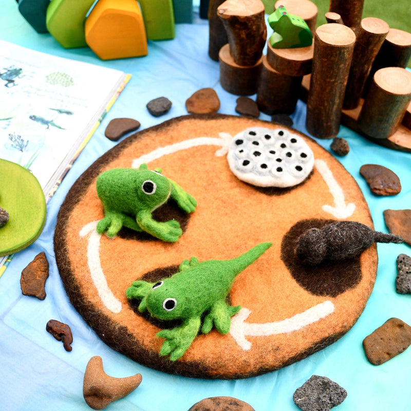 Tara Treasures Felt Life Cycle of a Frog 4pcs Felt Figures Only Pretend & Imaginative Play Toys Felt Animals Early Science 3yrs+