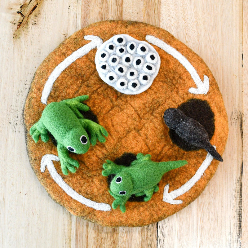 Tara Treasures Felt Life Cycle of a Frog 4pcs Felt Figures Only Pretend & Imaginative Play Toys Felt Animals Early Science 3yrs+