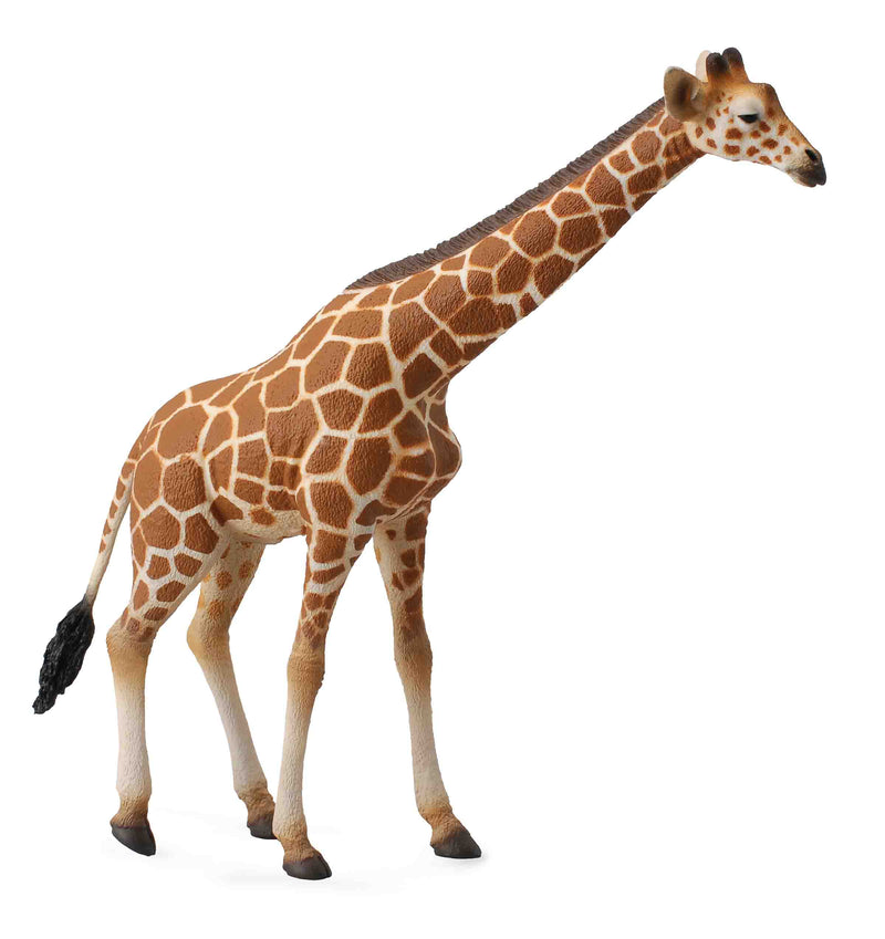 Reticulated Giraffe by CollectA Safari Collection Animal Figurines 3yrs+
