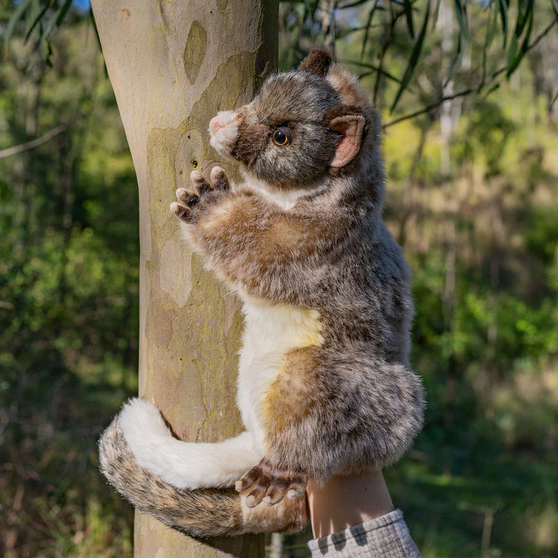 Possum Hand Puppet by Hansa Australian Animals Pretend and Imaginative Play Toy 3yrs+