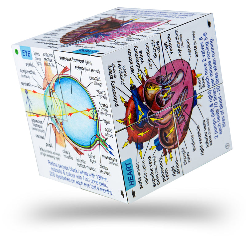 ZooBooKoo Human Body Anatomy Cube Book Early Science STEM Travel Toys Best Seller 7yrs+