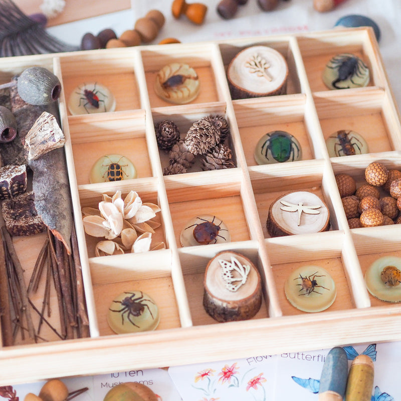 Nesk Kids Store and Play Box with Blackboard and Clear Lid  34cm X 27.5cm X 8.6cm H