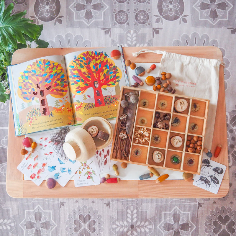 Nesk Kids Store and Play Box with Blackboard and Clear Lid  34cm X 27.5cm X 8.6cm H