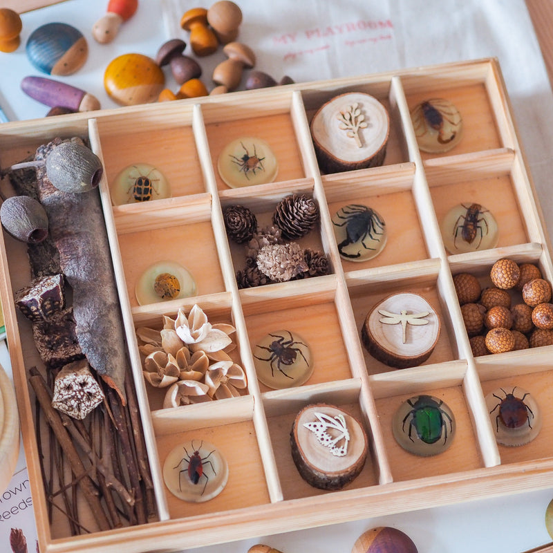 Nesk Kids Store and Play Box with Blackboard and Clear Lid  34cm X 27.5cm X 8.6cm H