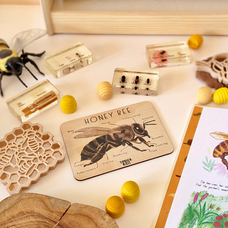 Timber Kids Honeybee Anatomy Wooden Tile Bee Toys 11x15cm Bee Toys Early Science 3yrs+