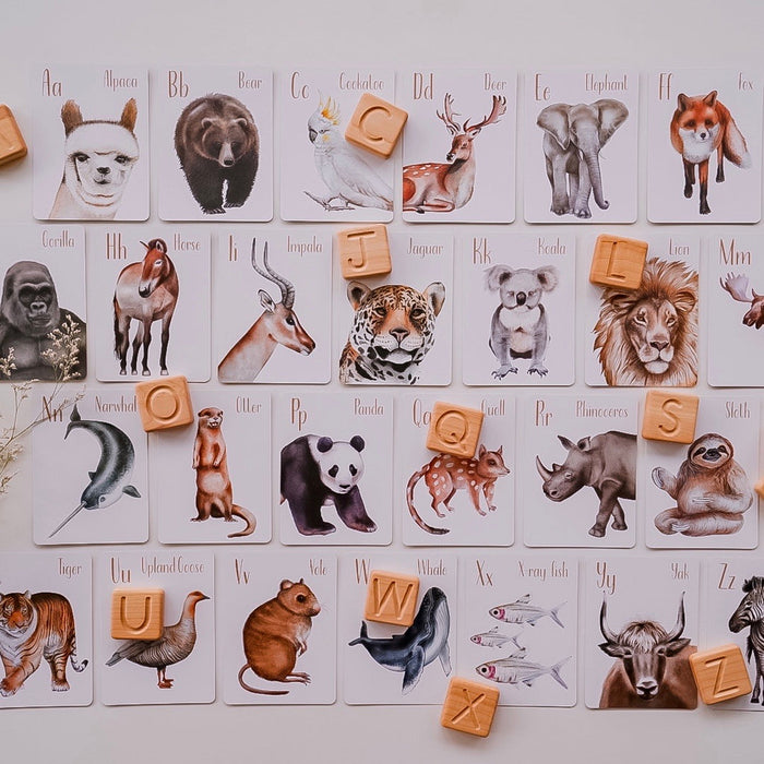 Modern Monty Animal Alphabet Flash Cards 3yrs+