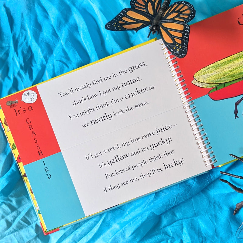 Flip Flap Minibeasts Book by Axel Scheffler (Hardcover): Insects Kids Interactive Book