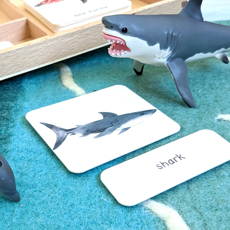 Montessori 3 Part Cards Nomenclature Ocean Sea Animals English 3yrs+