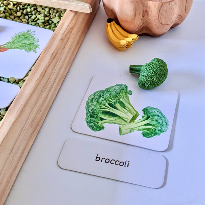 Montessori 3 Part Cards Nomenclature Vegetables English