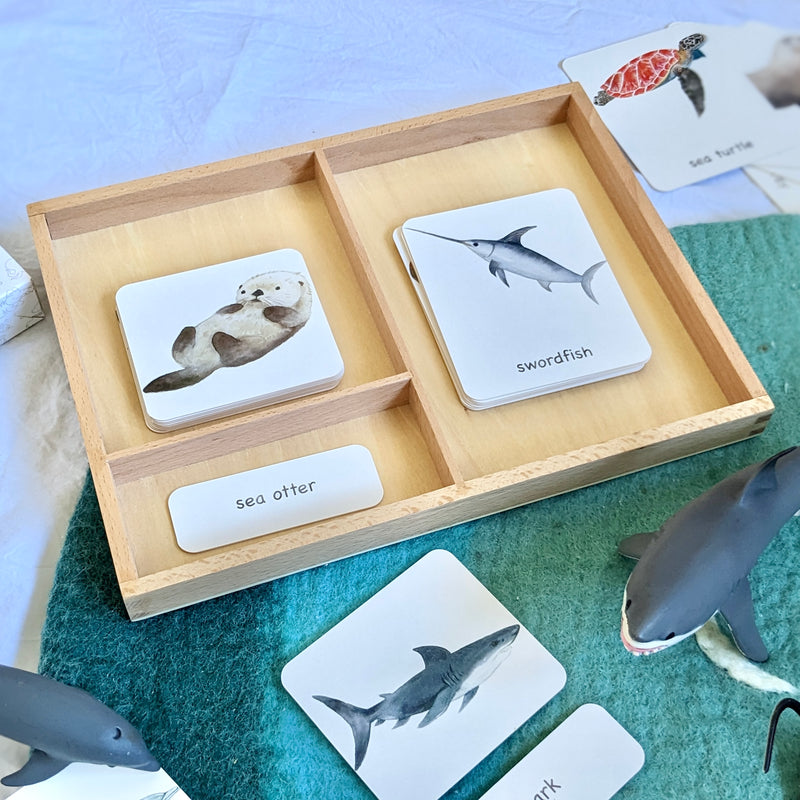 Montessori 3 Part Cards Nomenclature Ocean Sea Animals English 3yrs+
