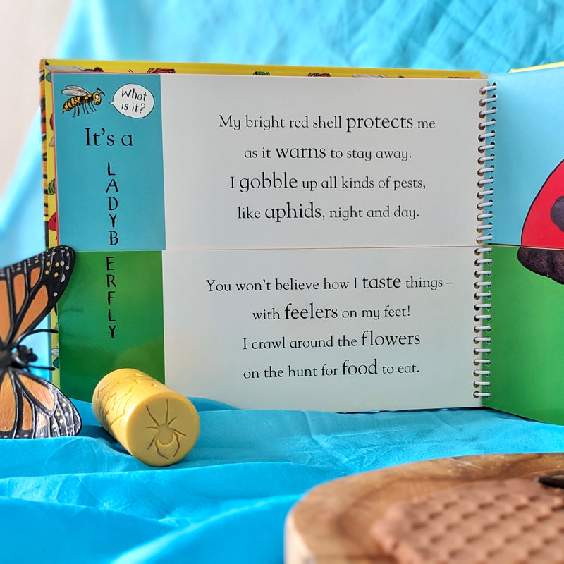 Flip Flap Minibeasts Book by Axel Scheffler (Hardcover): Insects Kids Interactive Book