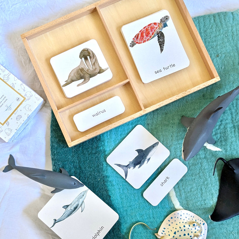Montessori 3 Part Cards Nomenclature Ocean Sea Animals English 3yrs+