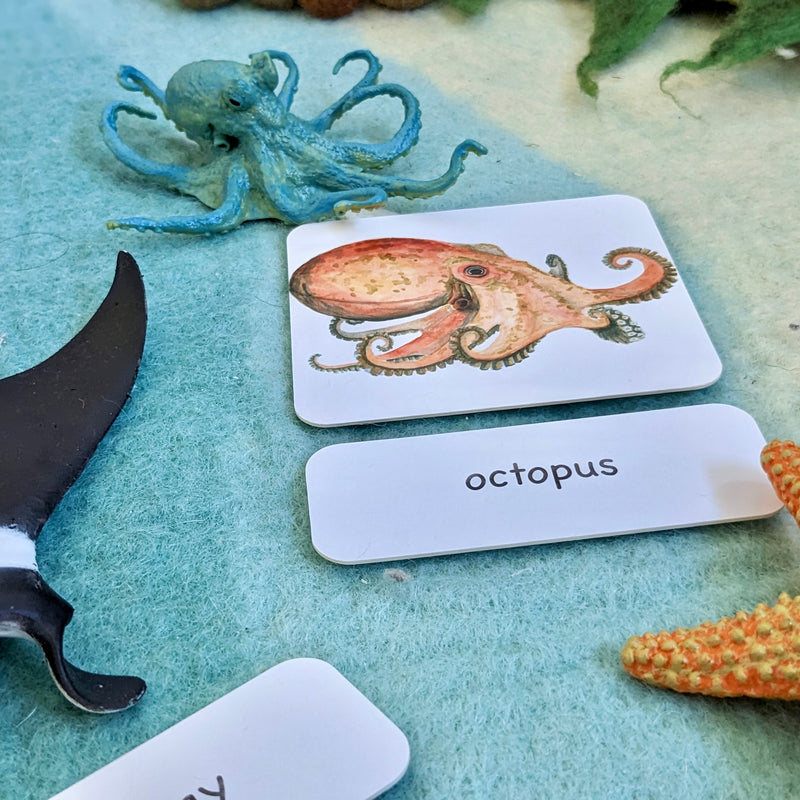 Montessori 3 Part Cards Nomenclature Ocean Sea Animals English 3yrs+