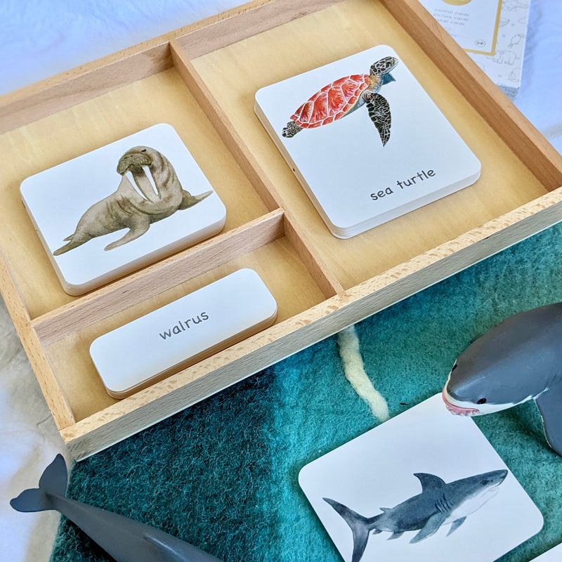 Montessori 3 Part Cards Nomenclature Ocean Sea Animals English 3yrs+