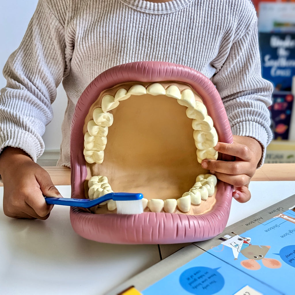 Kit Démonstration Dents Géantes TickiT - Avec Brosse à Dents Géante - Pour Apprendre L'hygiène Dentaire Aux Enfants - À Partir De 3 Ans - 2