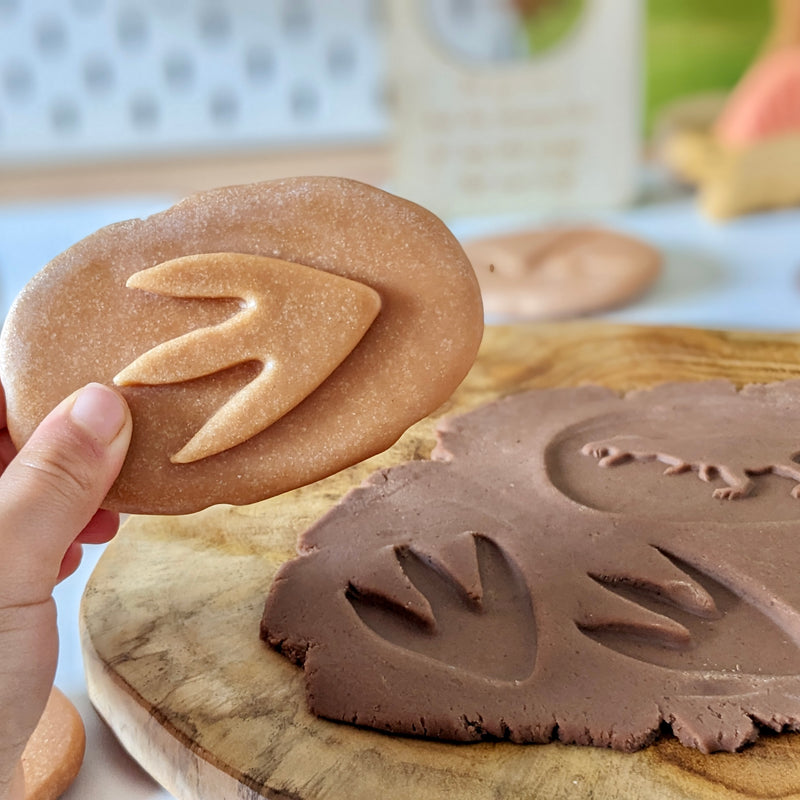 Yellow Door Let’s Investigate Dinosaur Footprints Set of 8 Sensory Stone Art and Craft for Kids Playdough Sand Toys Dinosaur Toy Sensory Toys Toddlers Dinosaur and Dragon Theme 3yrs+