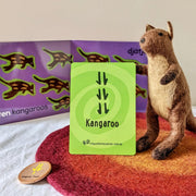 Riley Callie Resources Aboriginal Topic Cards - My Playroom 