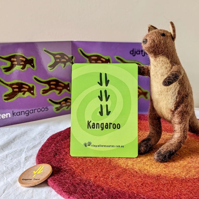 Riley Callie Resources Aboriginal Topic Cards - My Playroom 