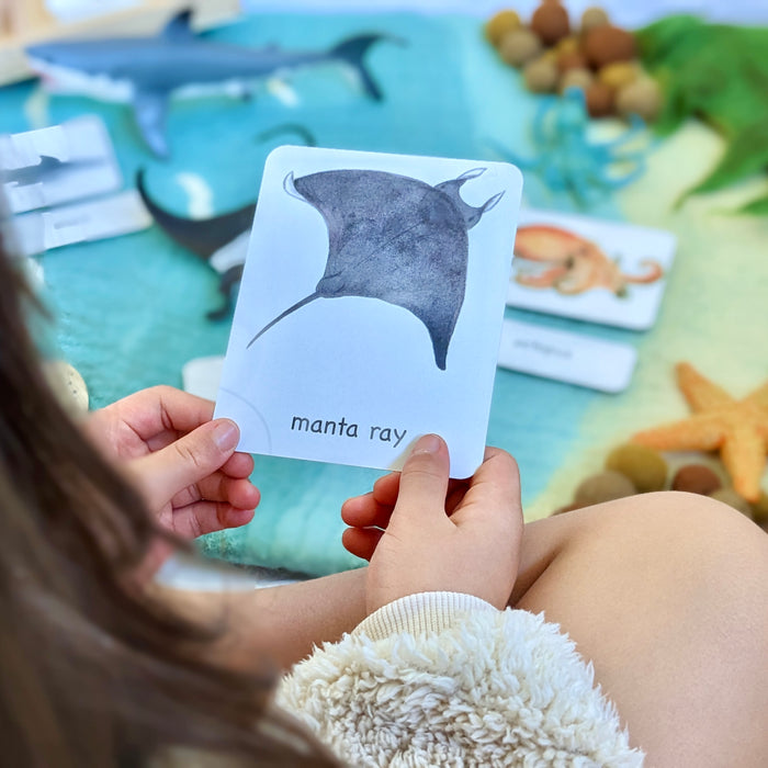 Montessori 3 Part Cards Nomenclature Sea Animals English
