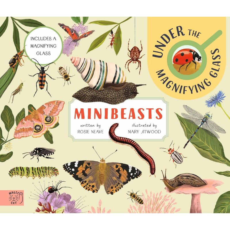 Minibeasts Under the Magnifying Glass (Hardcover) by Rosie Neave 5yrs+