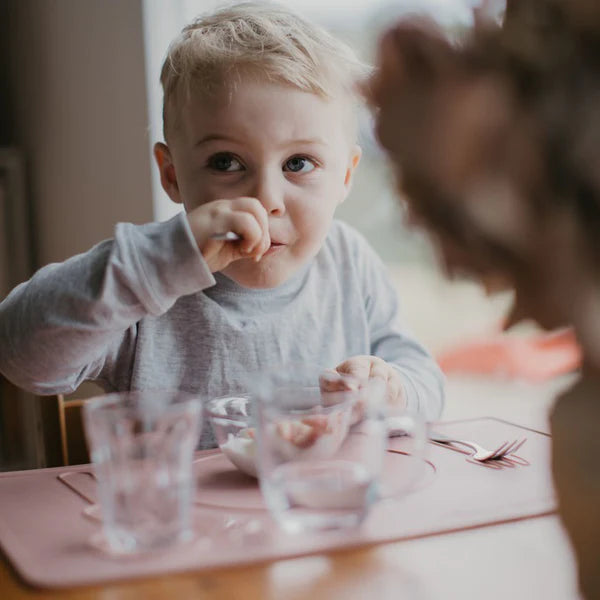 Montessori Mates Silicone Placemat 3 Colour Options Baby Montessori Practical Life Materials Baby Gifts Idea 6m+