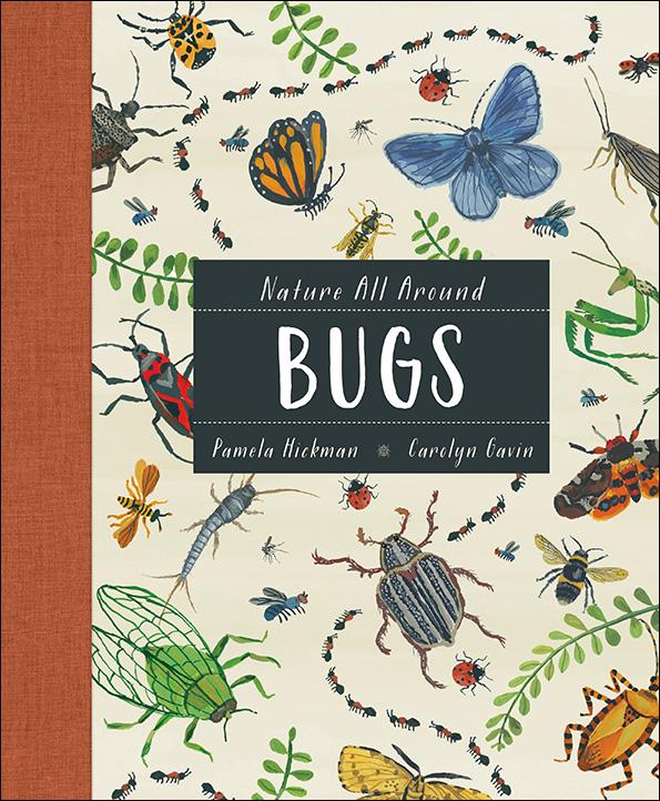 Nature All Around: Bugs (Hardcover) by Pamela Hickman, Carolyn Gavin : Nature Kids Book
