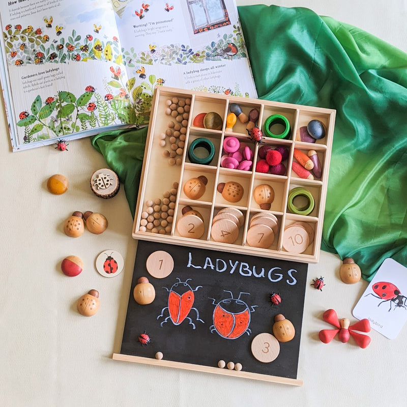 Nesk Kids Store and Play Box with Blackboard and Clear Lid  34cm X 27.5cm X 8.6cm H