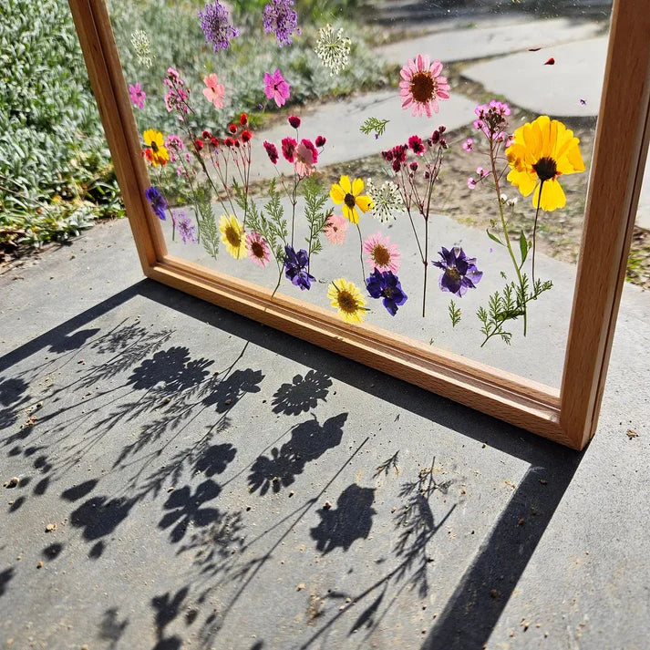 JoyKids Acrylic Display Frame solid beechwood Sets of 2 A3 or 4 A4 easy change