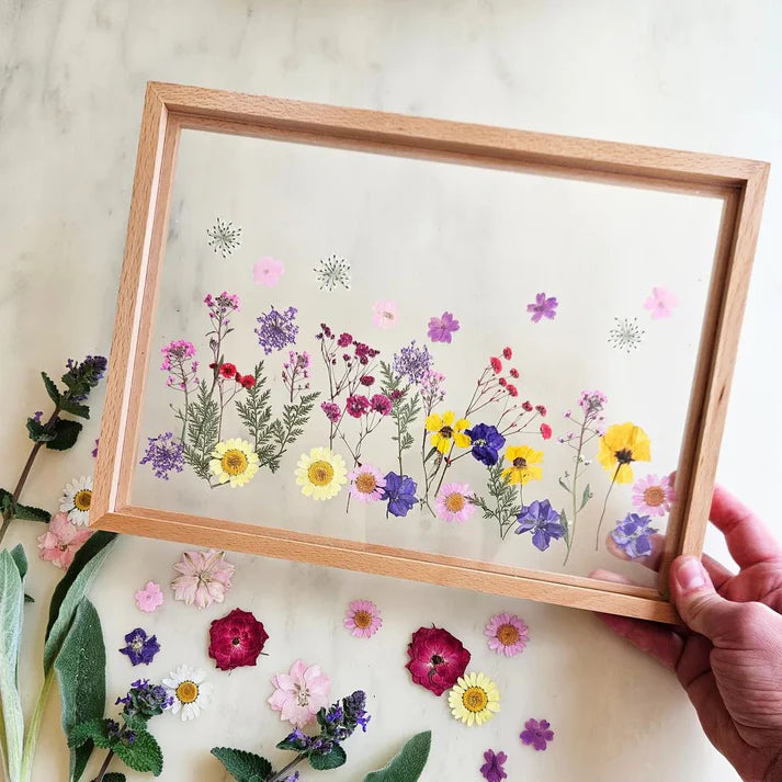 JoyKids Acrylic Display Frame solid beechwood Sets of 2 A3 or 4 A4 easy change