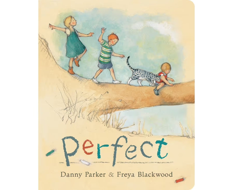 Perfect (Board Book) by Danny Parker Kids Picture Book