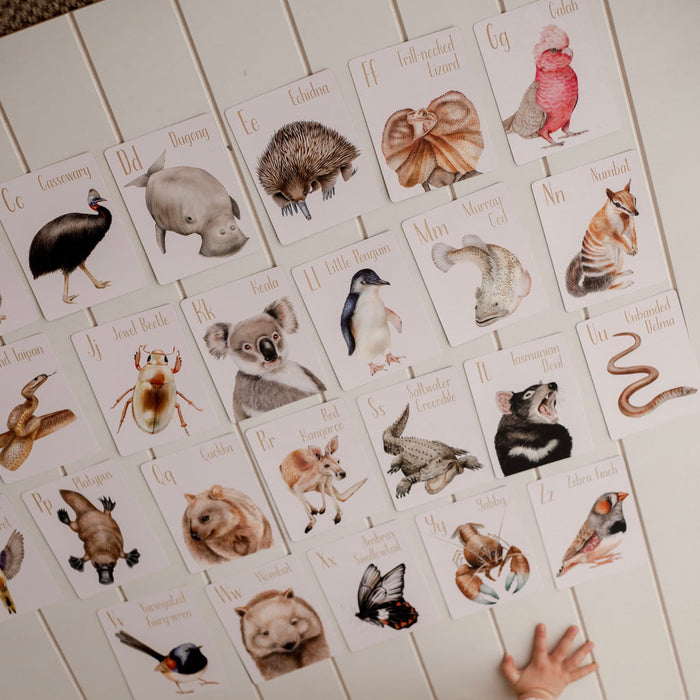 Modern Monty Australian Animal Alphabet Flash Cards 3yrs+