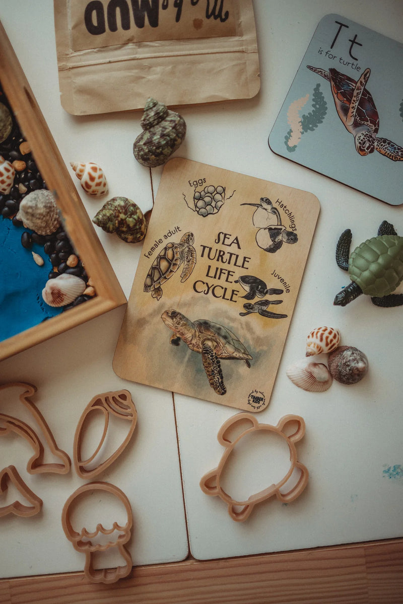 Timber Kids Sea Turtle Life Cycle Wooden Tile 11x15cm Turtle Toys Early Science