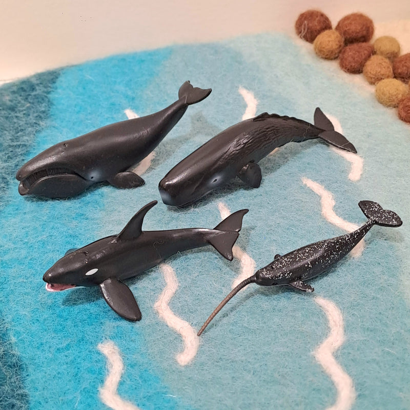 Marine Figurine Tube B Mini Ocean Sea Life Collection Gift Set 12pc by CollectA Animal Figurines 3yrs+