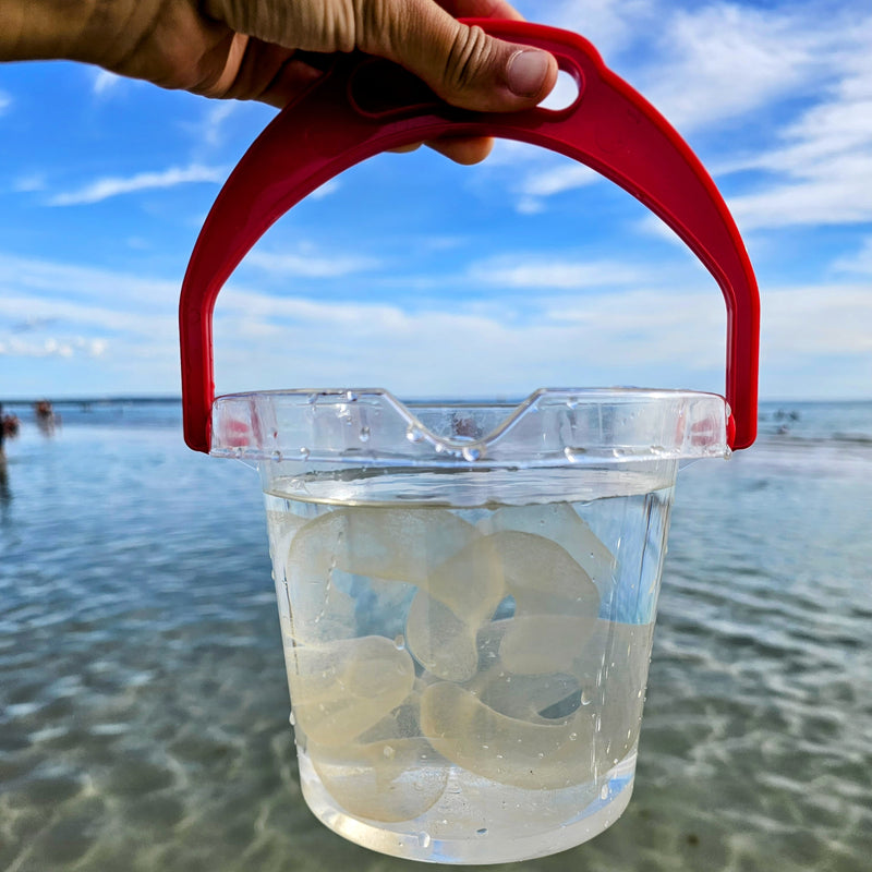 Classic Clear Kids Bucket with Lip for your next Science Sensory experiment 1.2L by Dantoy Sensory Outdoor Play Tools Developmental Toys for Toddlers 2yrs+