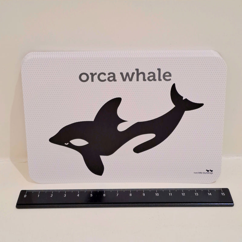 Sea Life Flash Cards by Two Little Ducklings 3yrs+