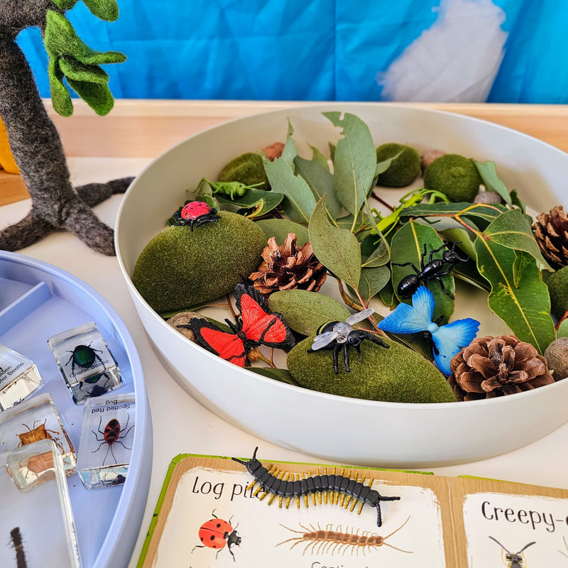 Jellystone Sensory Tray Play Sensory Toys Best Seller 3yrs+