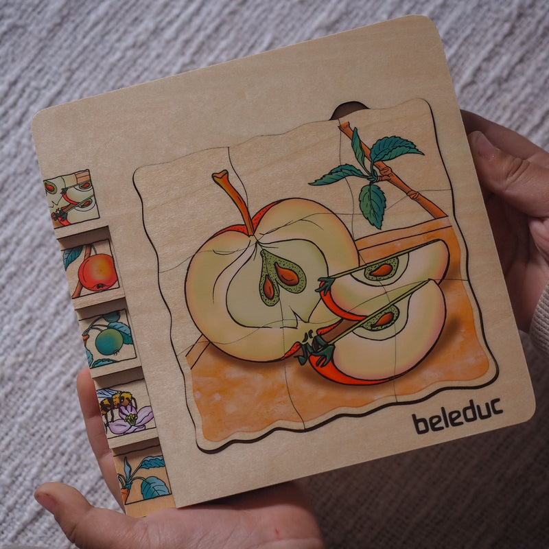 Beleduc Life Cycle Wooden Numbered Multilayer Puzzle Apple Early Science STEM Toys 4yrs+