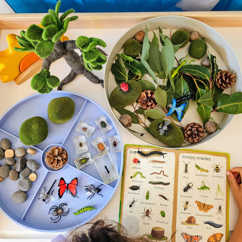 Jellystone Sensory Tray Play Sensory Toys Best Seller 3yrs+