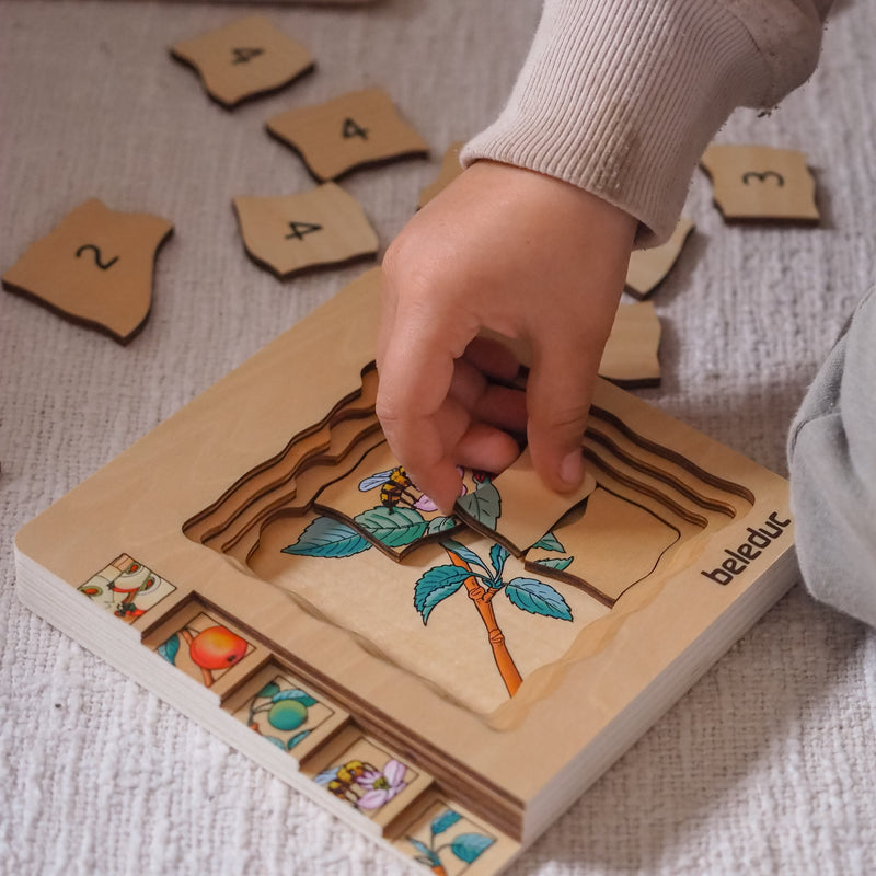 Beleduc Life Cycle Wooden Numbered Multilayer Puzzle Apple Early Science STEM Toys 4yrs+