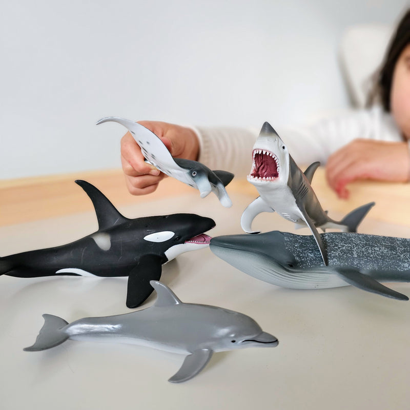 Sea Life Figurine Collection 5pc Gift Set by CollectA Animal Figurines3yrs+