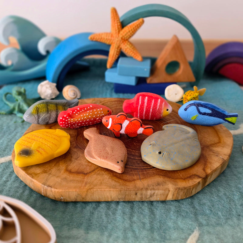 Yellow Door Sensory Play Stones Fish 8pcs Playdough Sand Toys Sensory Toys Toddler Developmental Toys 2yrs+