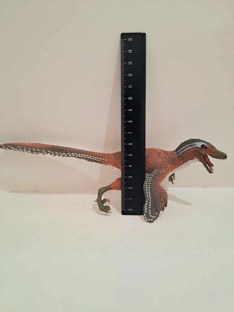 Feathered Velociraptor Figurine by Safari Ltd Large Dinosaur & Prehistoric World Collection Animal Figurines Dinosaur and Dragon Theme 3yrs+