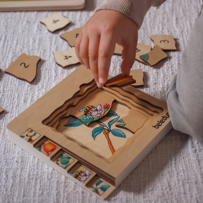 Beleduc Life Cycle Wooden Numbered Multilayer Puzzle Apple Early Science STEM Toys 4yrs+