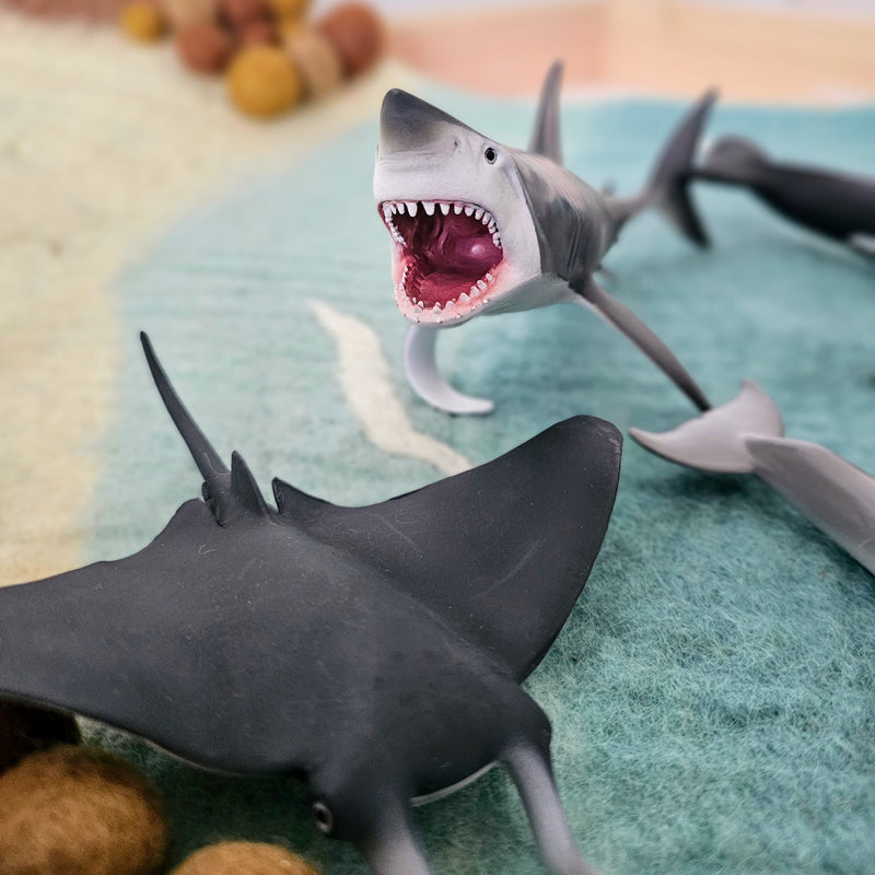 Sea Life Figurine Collection 5pc Gift Set by CollectA Animal Figurines3yrs+