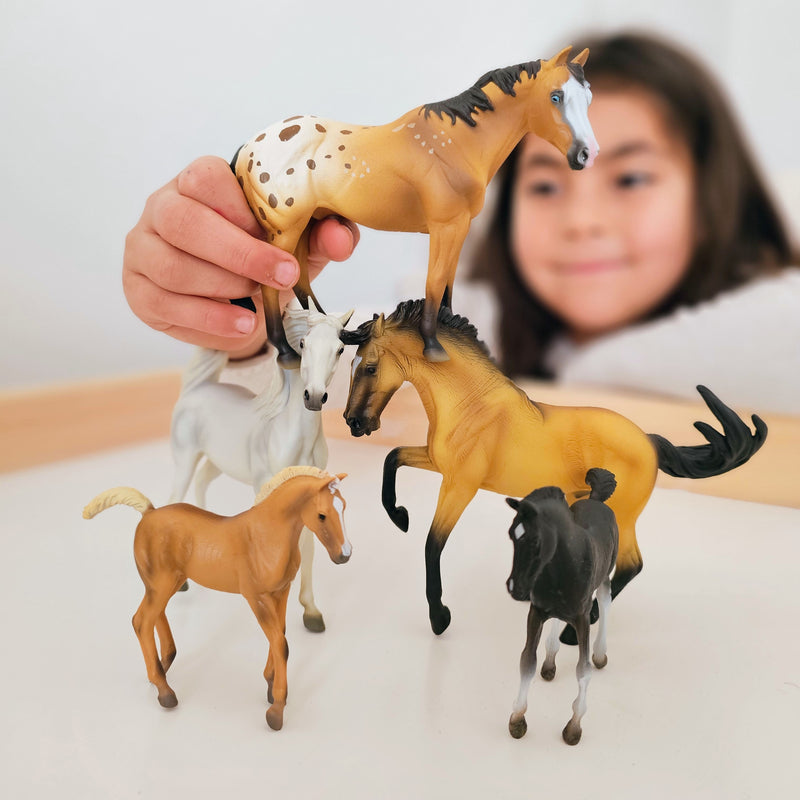 Horses Figurine Collection 5pc Gift Set by CollectA Animal Figurines 3yrs+